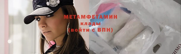 прущие грибы Белокуриха