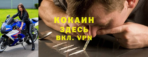 трава Арсеньев