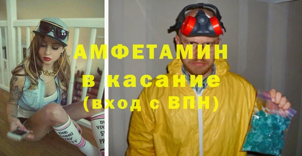 трава Арсеньев
