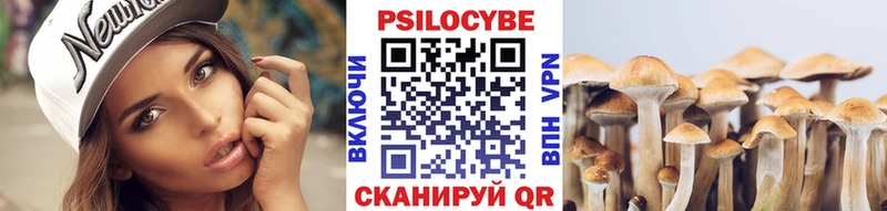 Галлюциногенные грибы Cubensis  Карпинск 